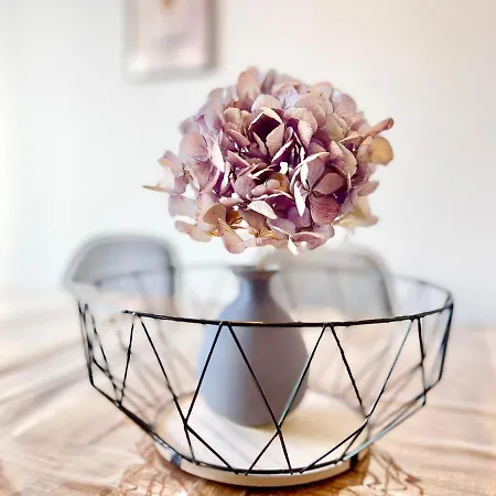 - La Cigogne - Balcon - Vue Degagee - Netflix - Wifi Fibre - Parking Gratuit - Quartier Populaire Lejlighed *