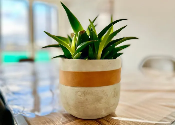 La Cigogne: Balcony Retreat With Netflix And Free Parking *