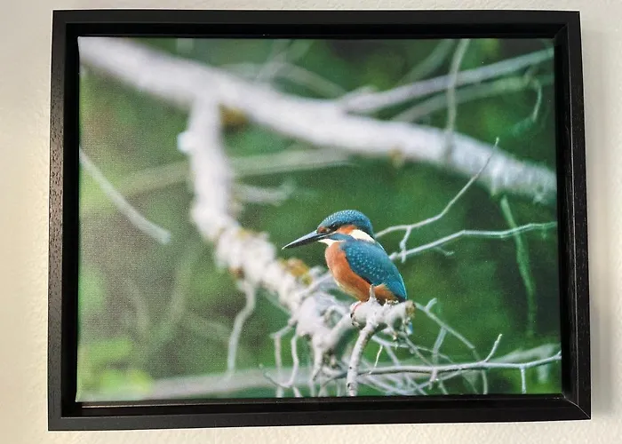 La Cigogne: Balcony Retreat With Netflix And Free Parking Colmar